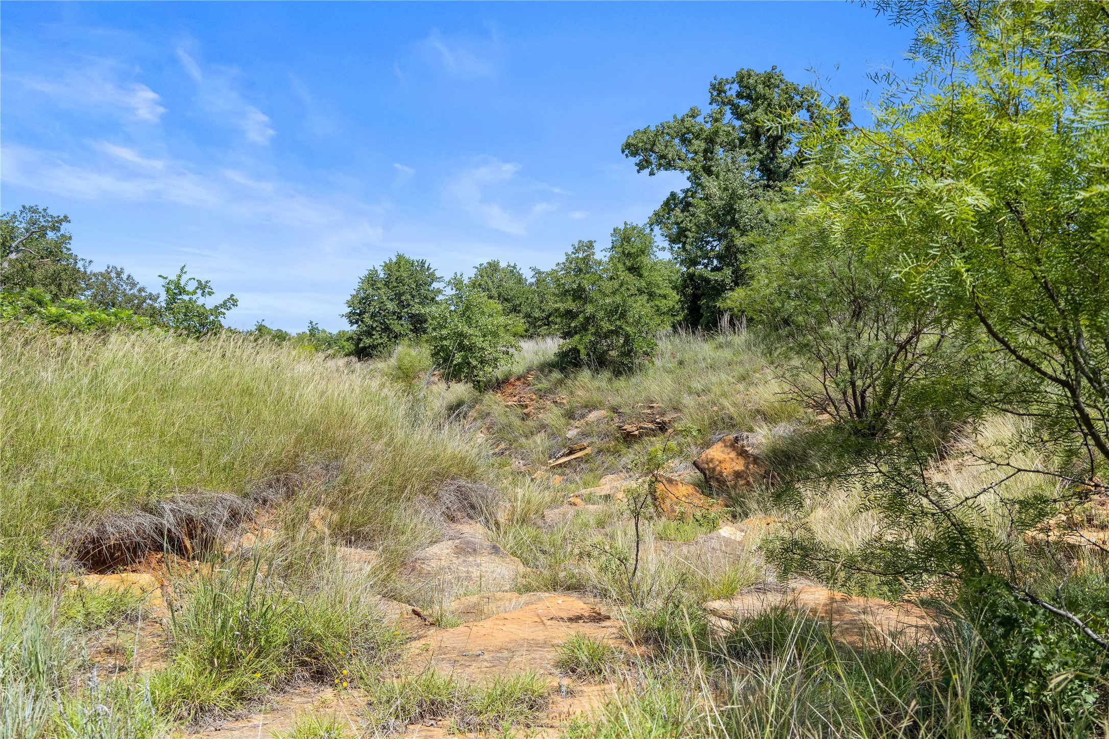 Tbd Berry Dairy Road Jacksboro TX 76458