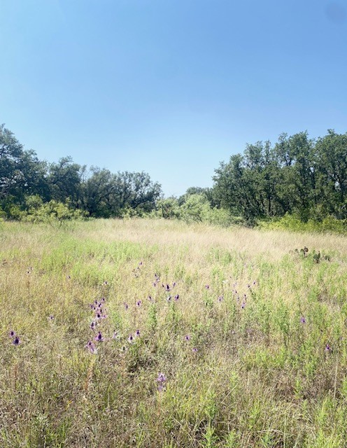 6955 Ennis Drive Brownwood TX 76801