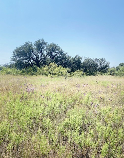 6955 Ennis Drive Brownwood TX 76801