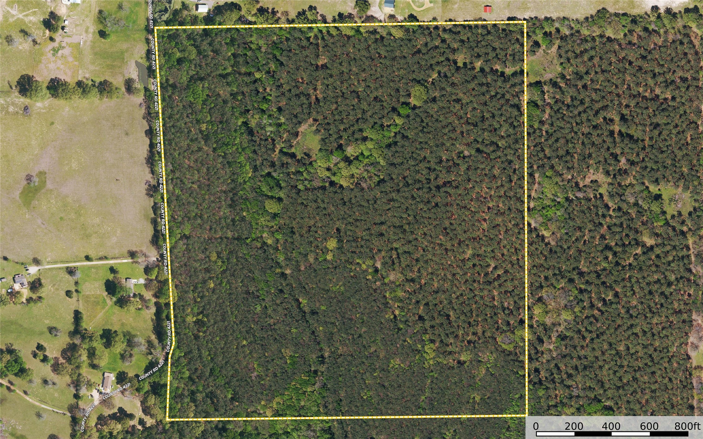 Tract 8 County Road 4221 Frankston TX 75763