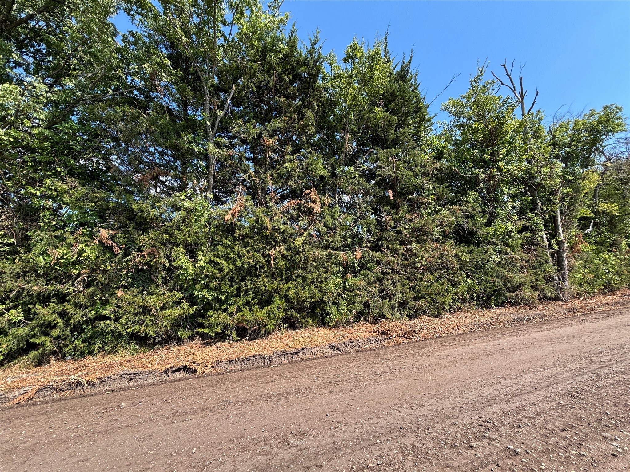 Tbd County Road 4079 Scurry TX 75158