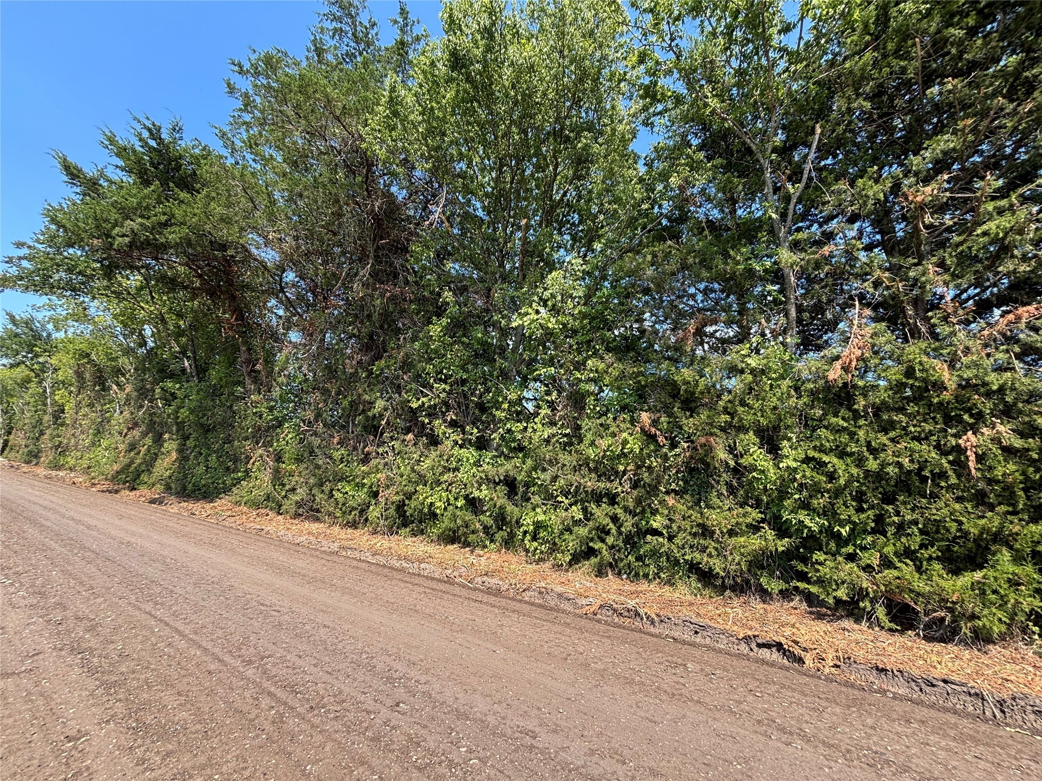 Tbd County Road 4079 Scurry TX 75158