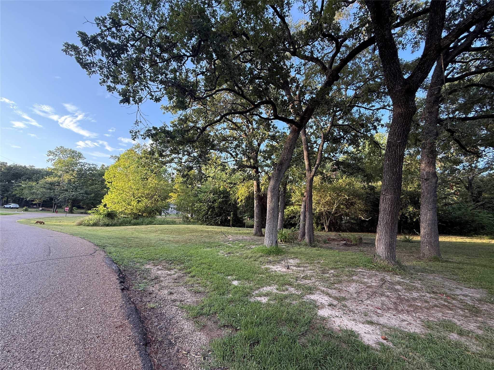 Tbd Lake Drive Enchanted Oaks TX 75156