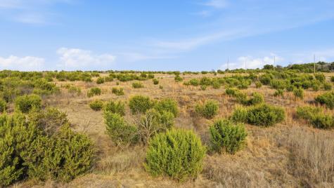 Lot 103 Adobe Hill Drive Stephenville TX 76401