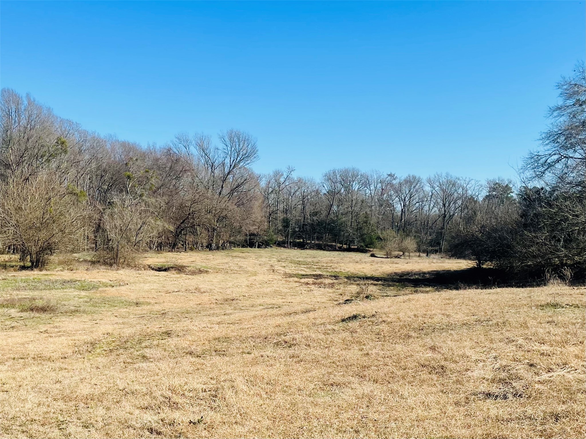 1155 County Road 2376 Winnsboro TX 75494