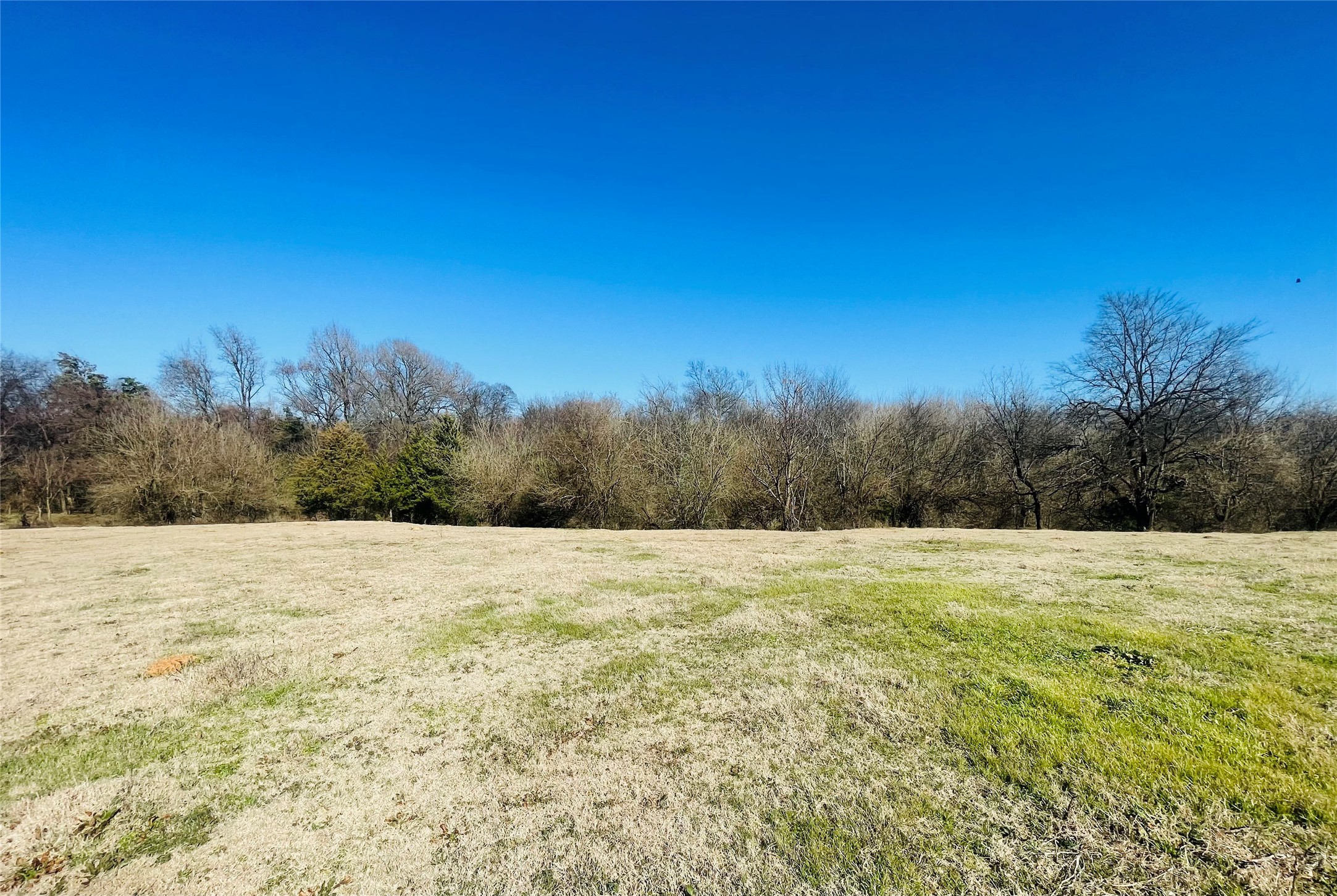 1155 County Road 2376 Winnsboro TX 75494