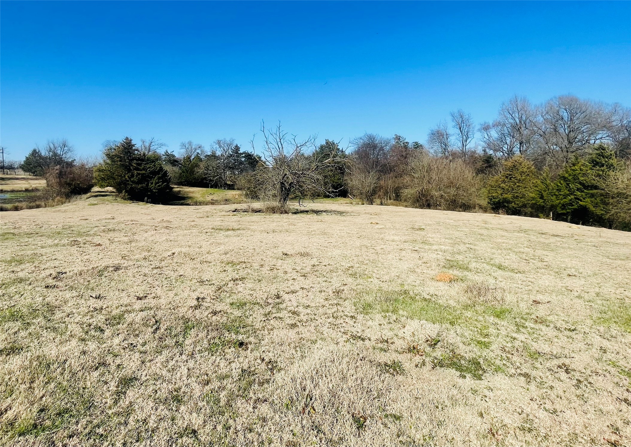 1155 County Road 2376 Winnsboro TX 75494