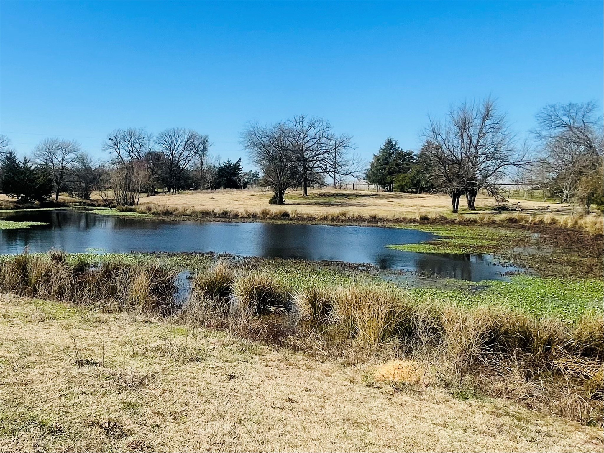 1155 County Road 2376 Winnsboro TX 75494