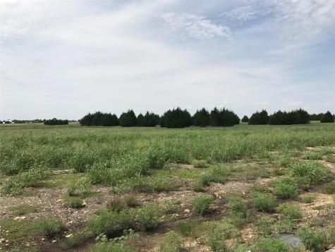 1310 Carroll Moran Trail Midlothian TX 76065