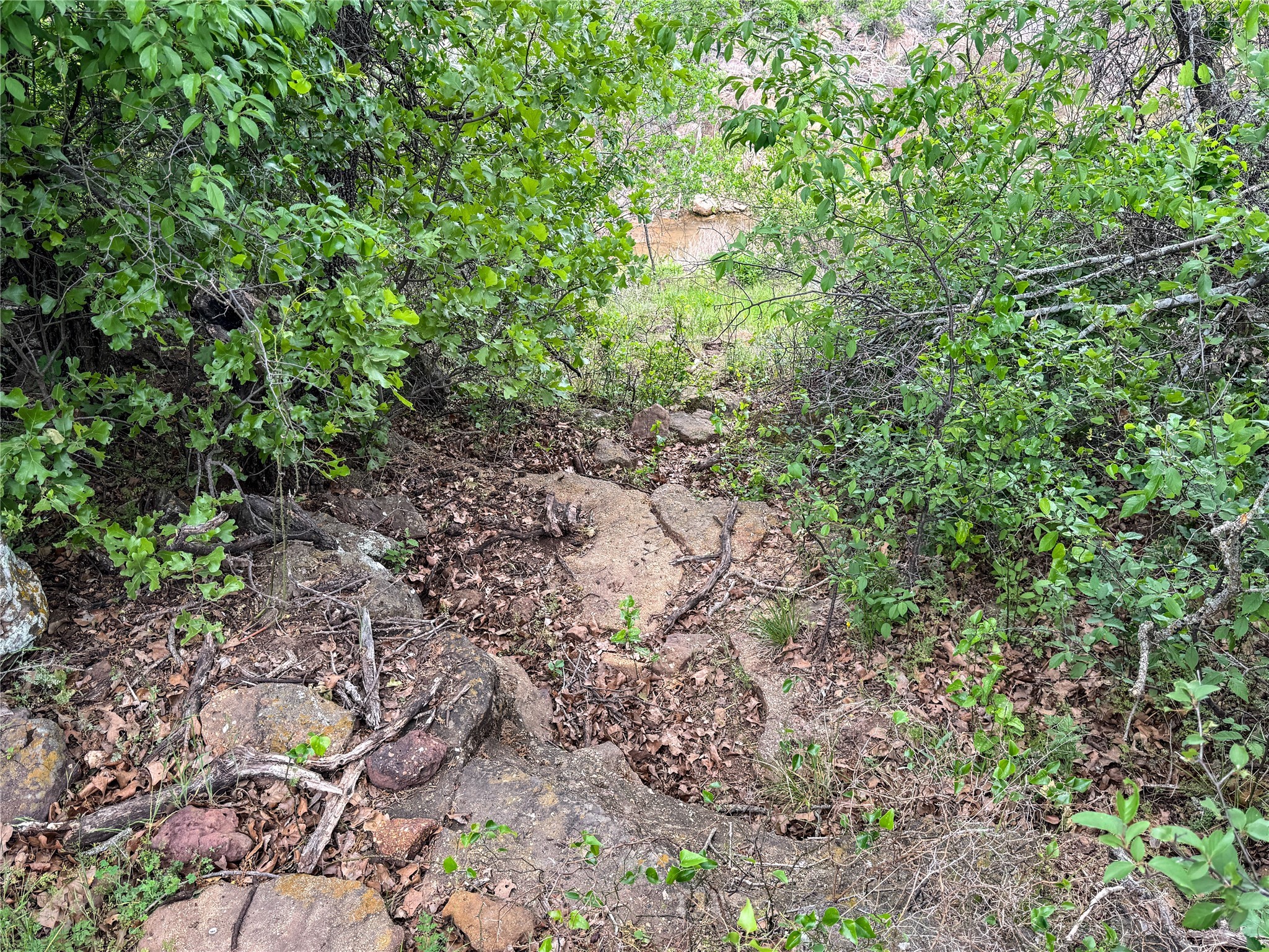 Lot 83 Shoreline Drive Cisco TX 76437