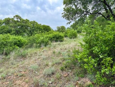 Lot 83 Shoreline Drive Cisco TX 76437