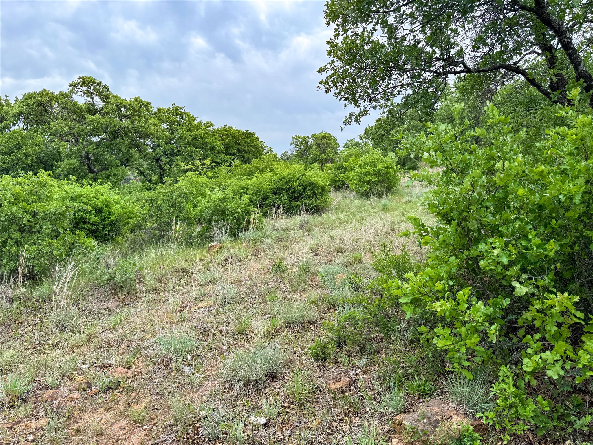Lot 83 Shoreline Drive Cisco TX 76437
