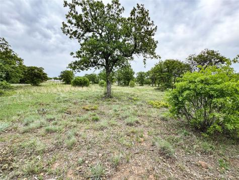 Lot 83 Shoreline Drive Cisco TX 76437