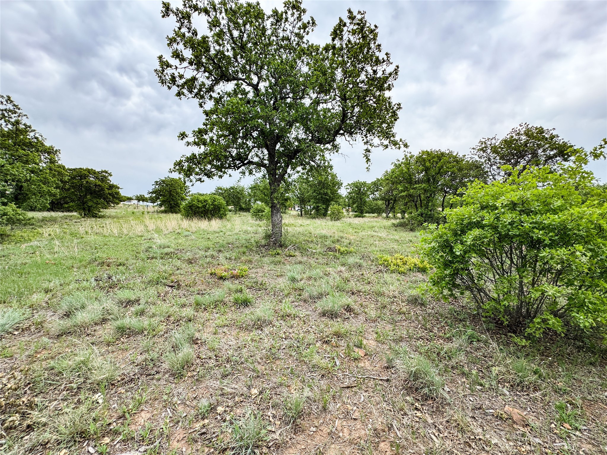 Lot 83 Shoreline Drive Cisco TX 76437
