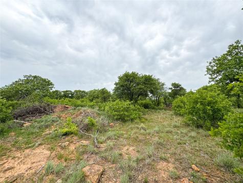Lot 83 Shoreline Drive Cisco TX 76437