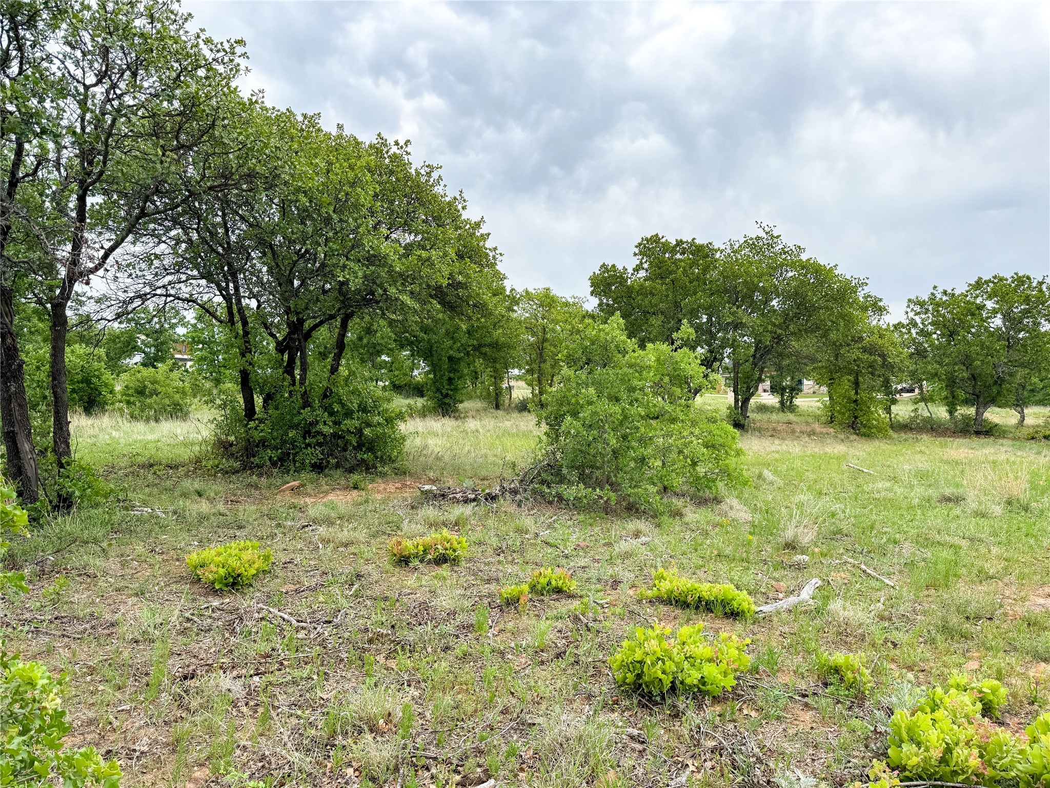 Lot 83 Shoreline Drive Cisco TX 76437