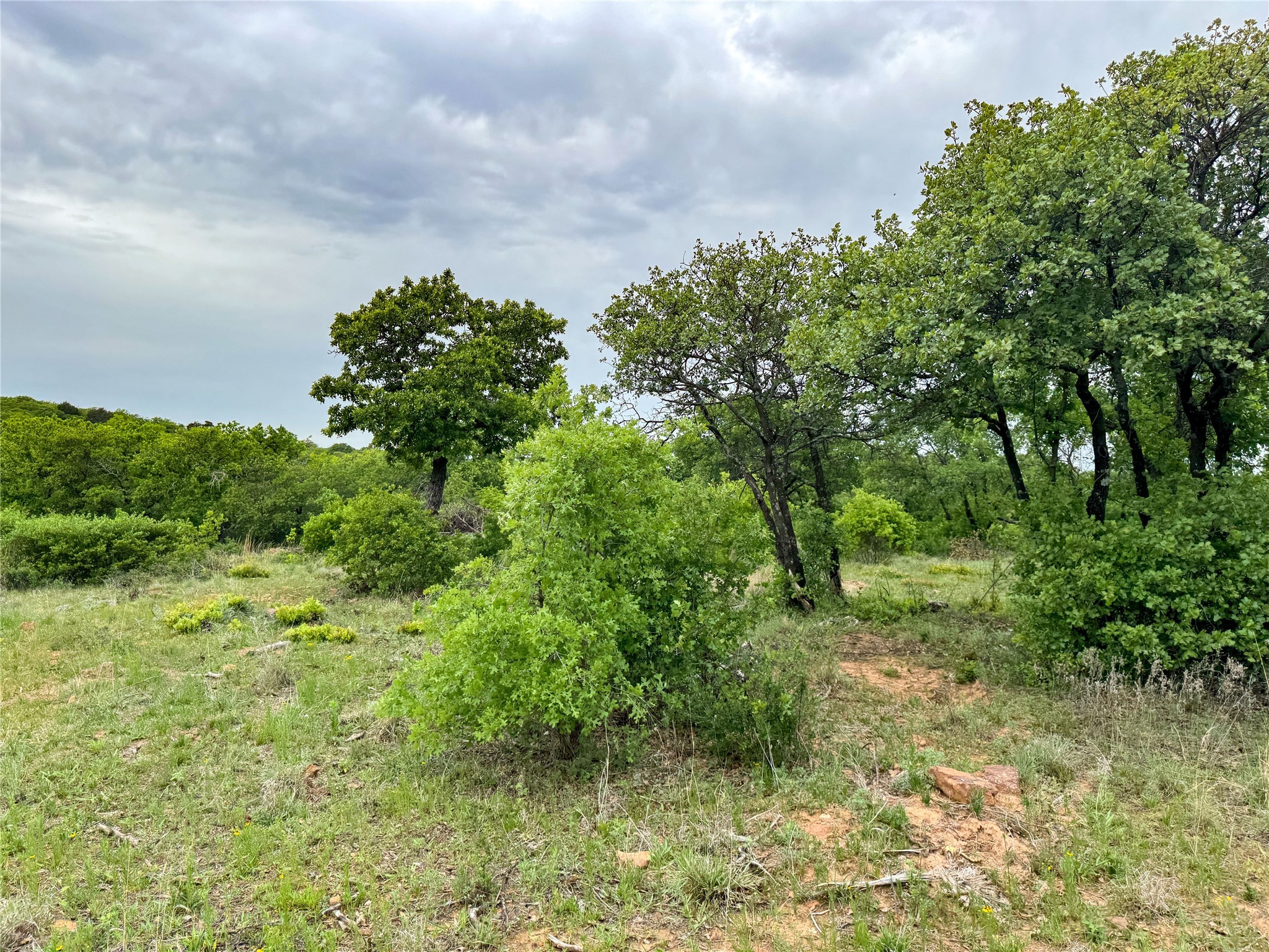 Lot 83 Shoreline Drive Cisco TX 76437
