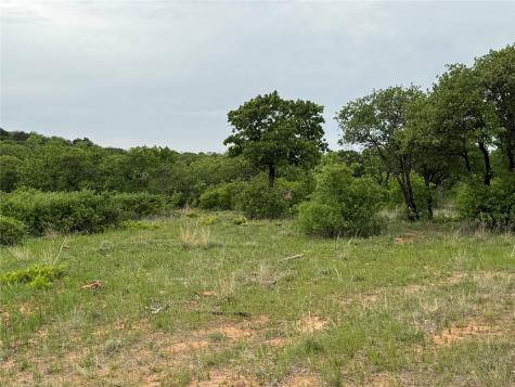 Lot 83 Shoreline Drive Cisco TX 76437