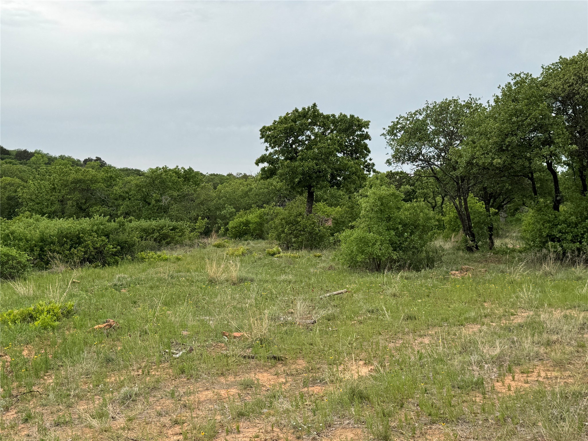 Lot 83 Shoreline Drive Cisco TX 76437