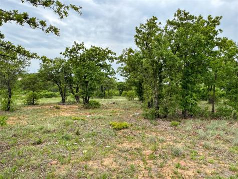 Lot 83 Shoreline Drive Cisco TX 76437