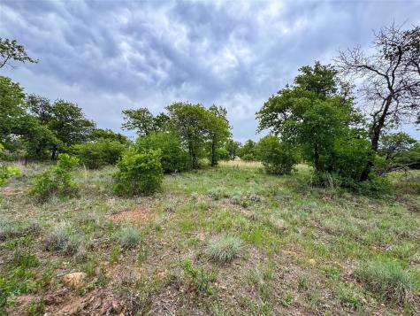 Lot 83 Shoreline Drive Cisco TX 76437