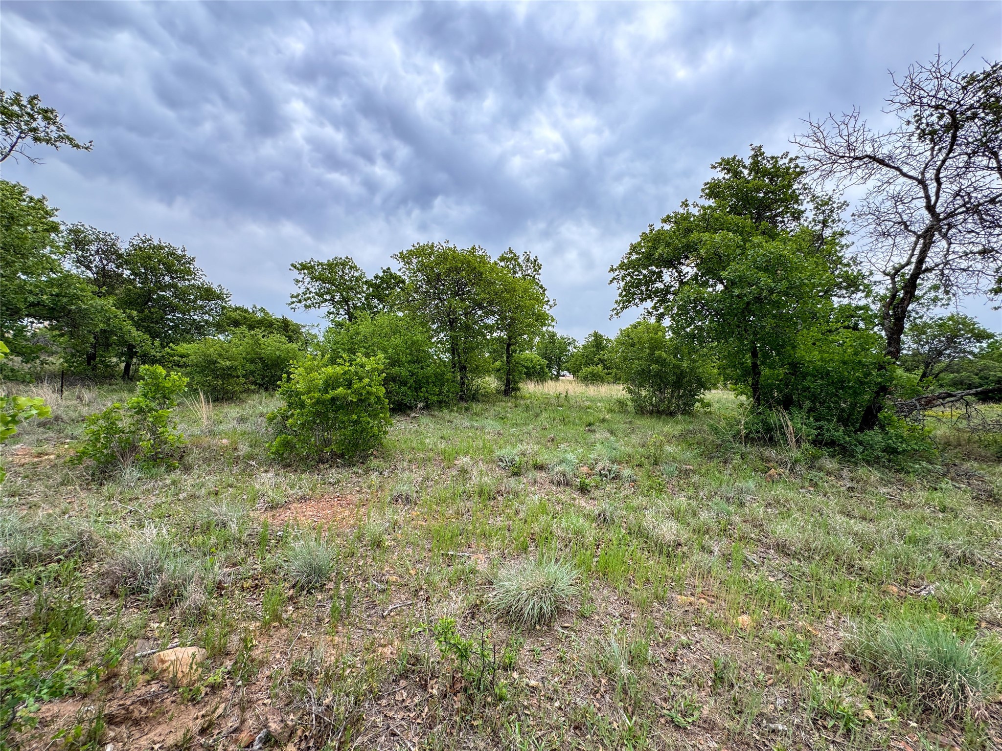 Lot 83 Shoreline Drive Cisco TX 76437