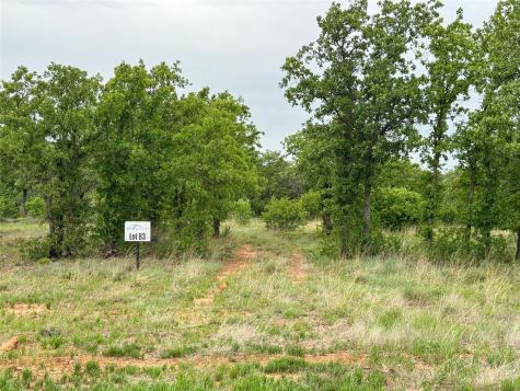 Lot 83 Shoreline Drive Cisco TX 76437