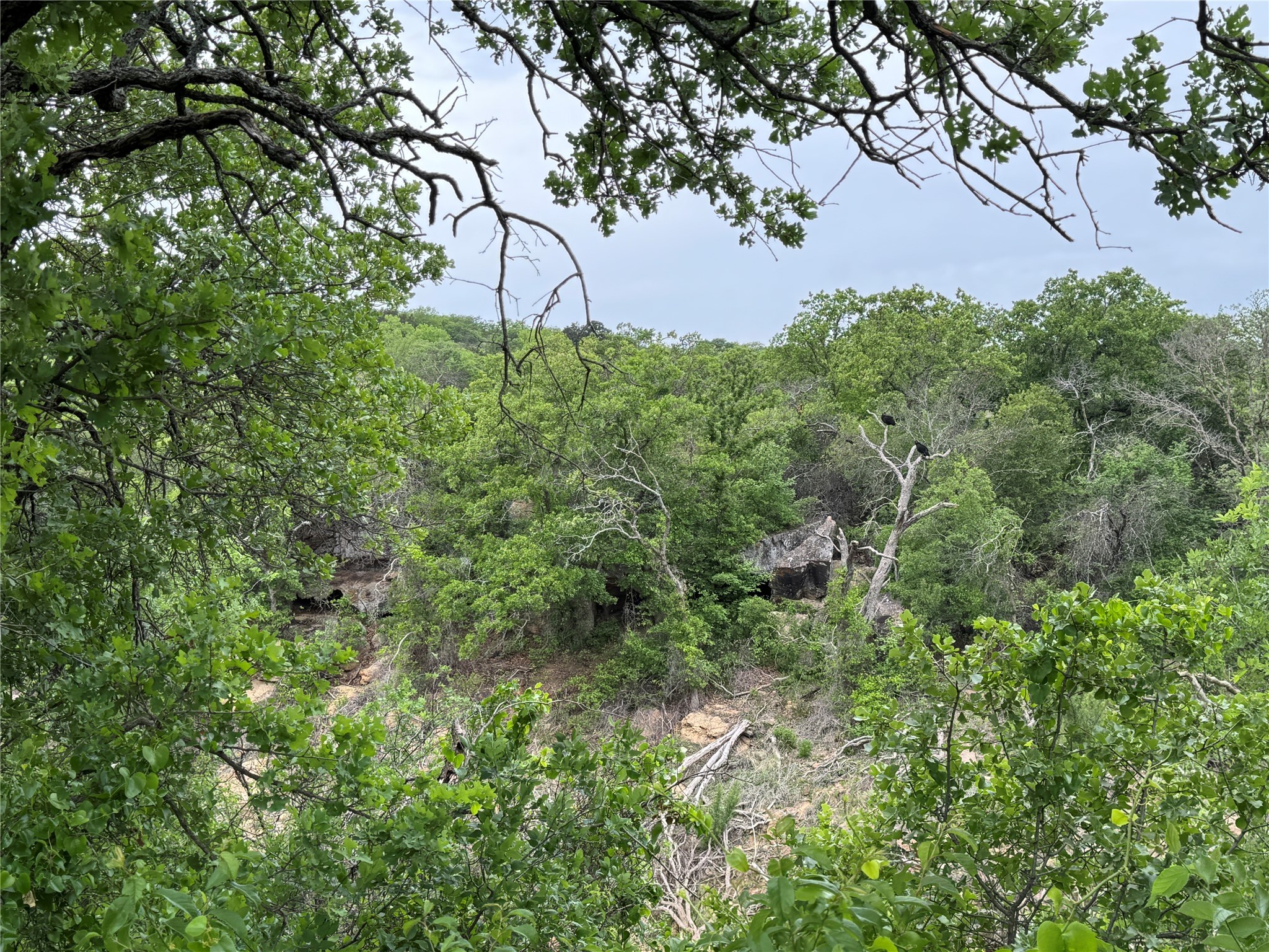 Lot 83 Shoreline Drive Cisco TX 76437