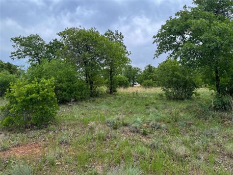 Lot 83 Shoreline Drive Cisco TX 76437