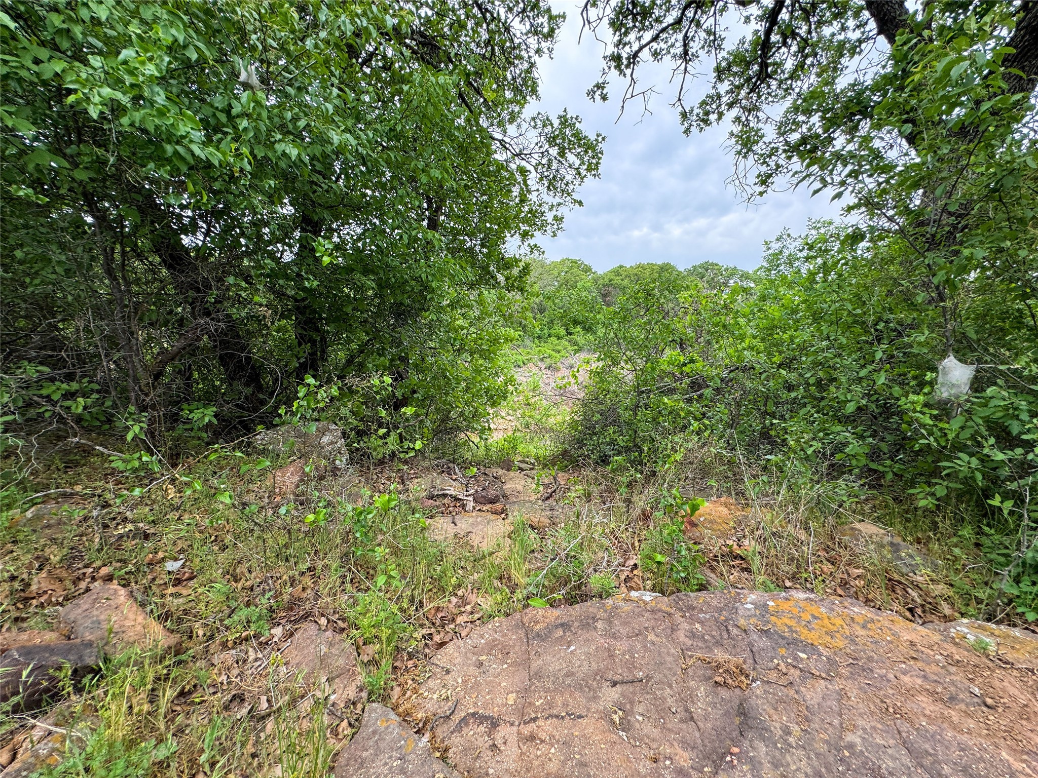 Lot 83 Shoreline Drive Cisco TX 76437