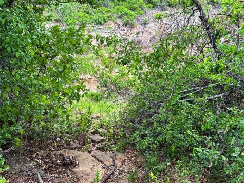 Lot 83 Shoreline Drive Cisco TX 76437