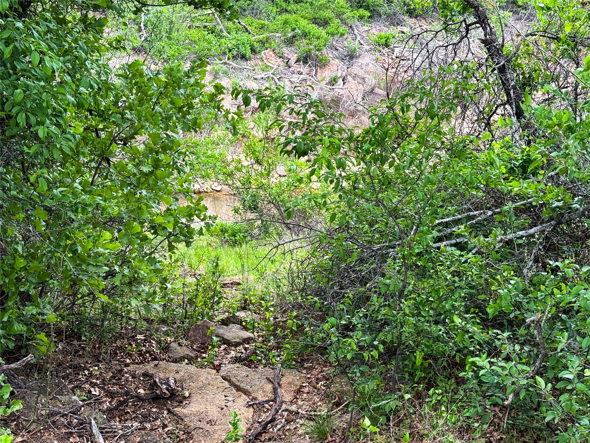 Lot 83 Shoreline Drive Cisco TX 76437