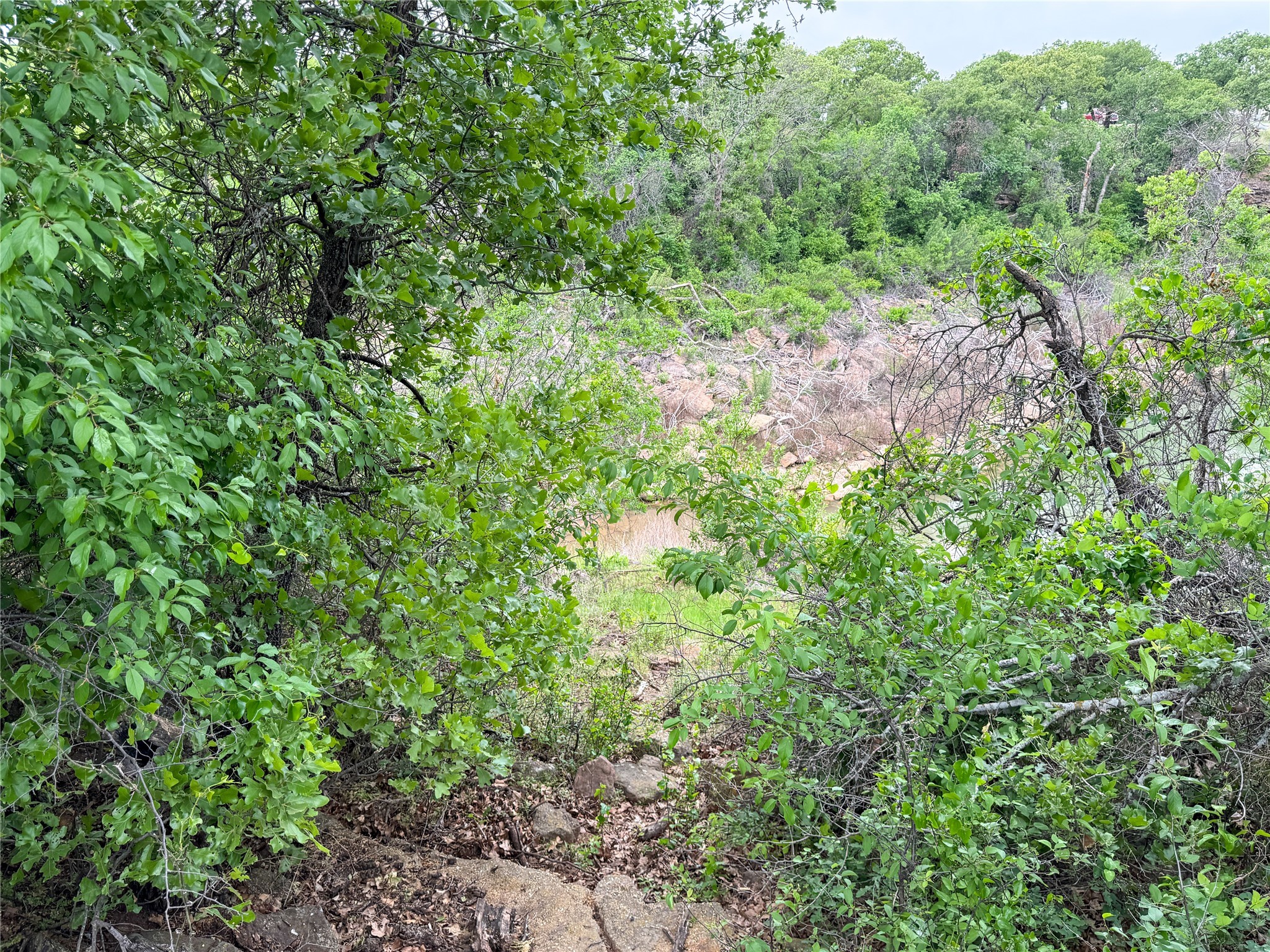 Lot 83 Shoreline Drive Cisco TX 76437