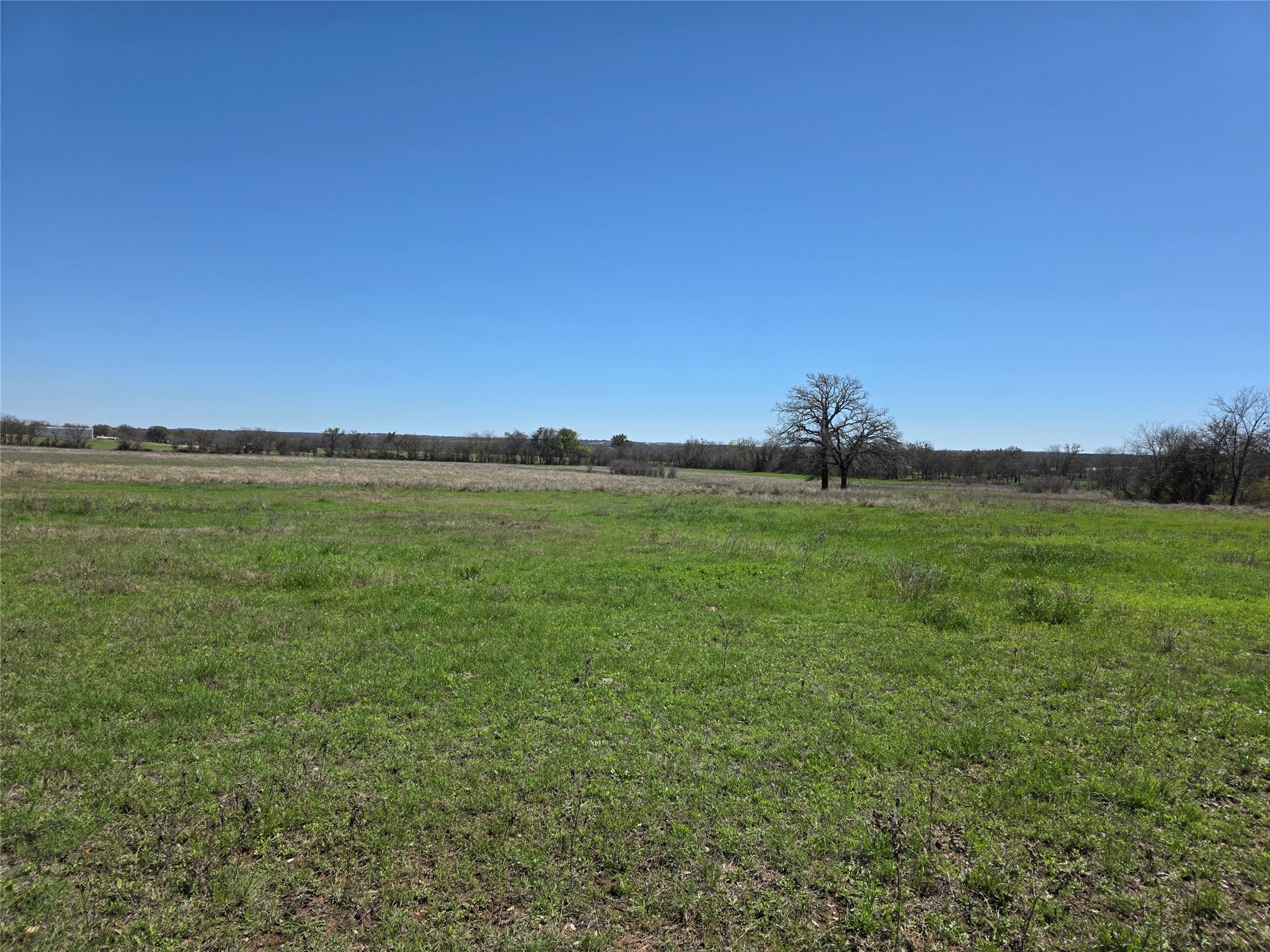 309 Highway 36 Gustine TX 76455
