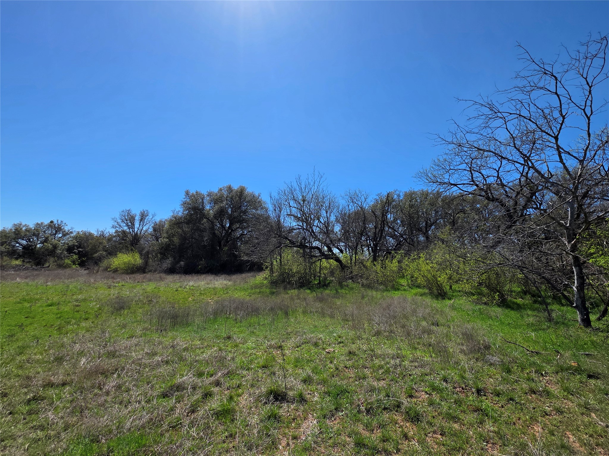 309 Highway 36 Gustine TX 76455