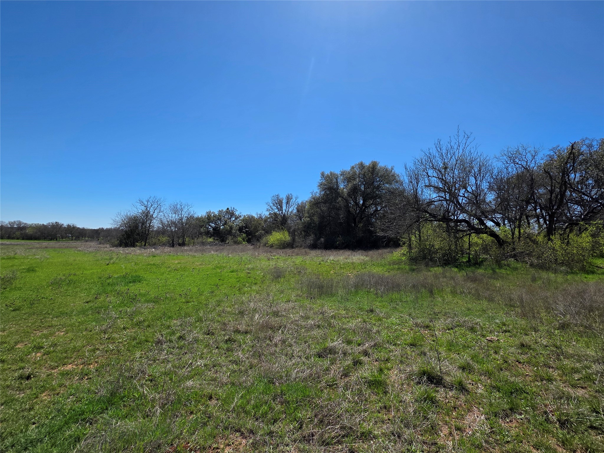 309 Highway 36 Gustine TX 76455