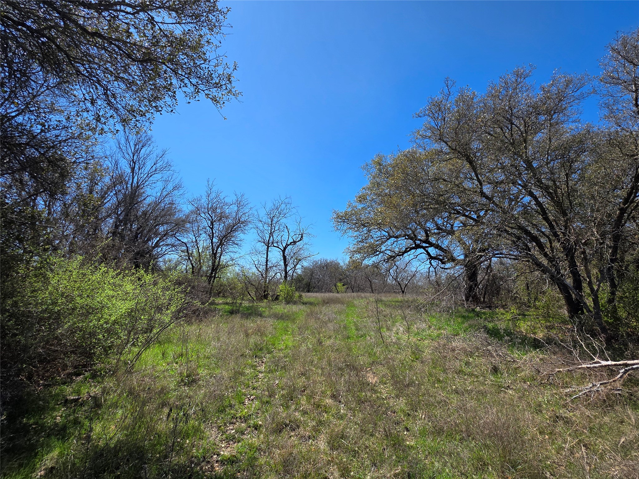 309 Highway 36 Gustine TX 76455