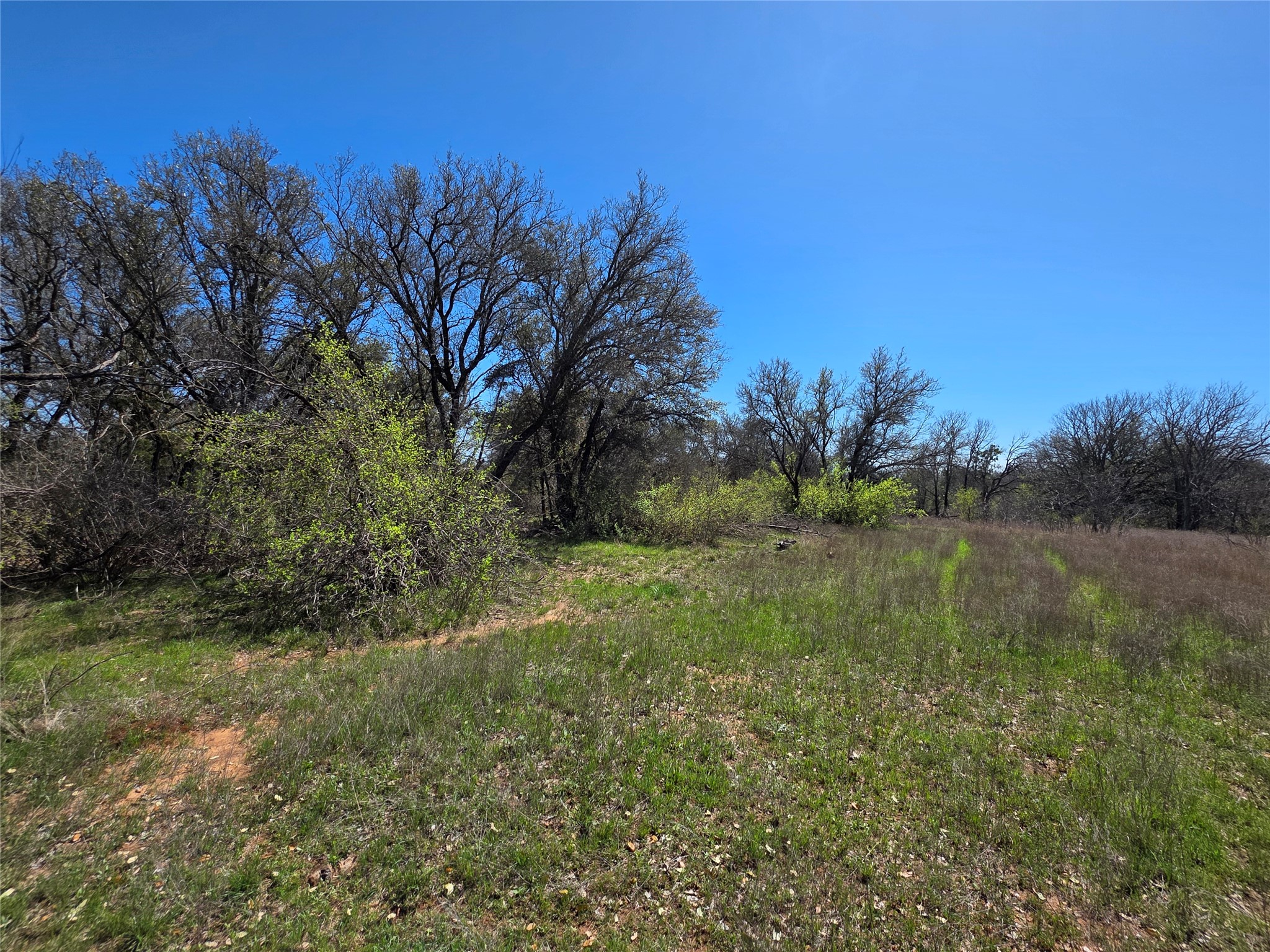 309 Highway 36 Gustine TX 76455