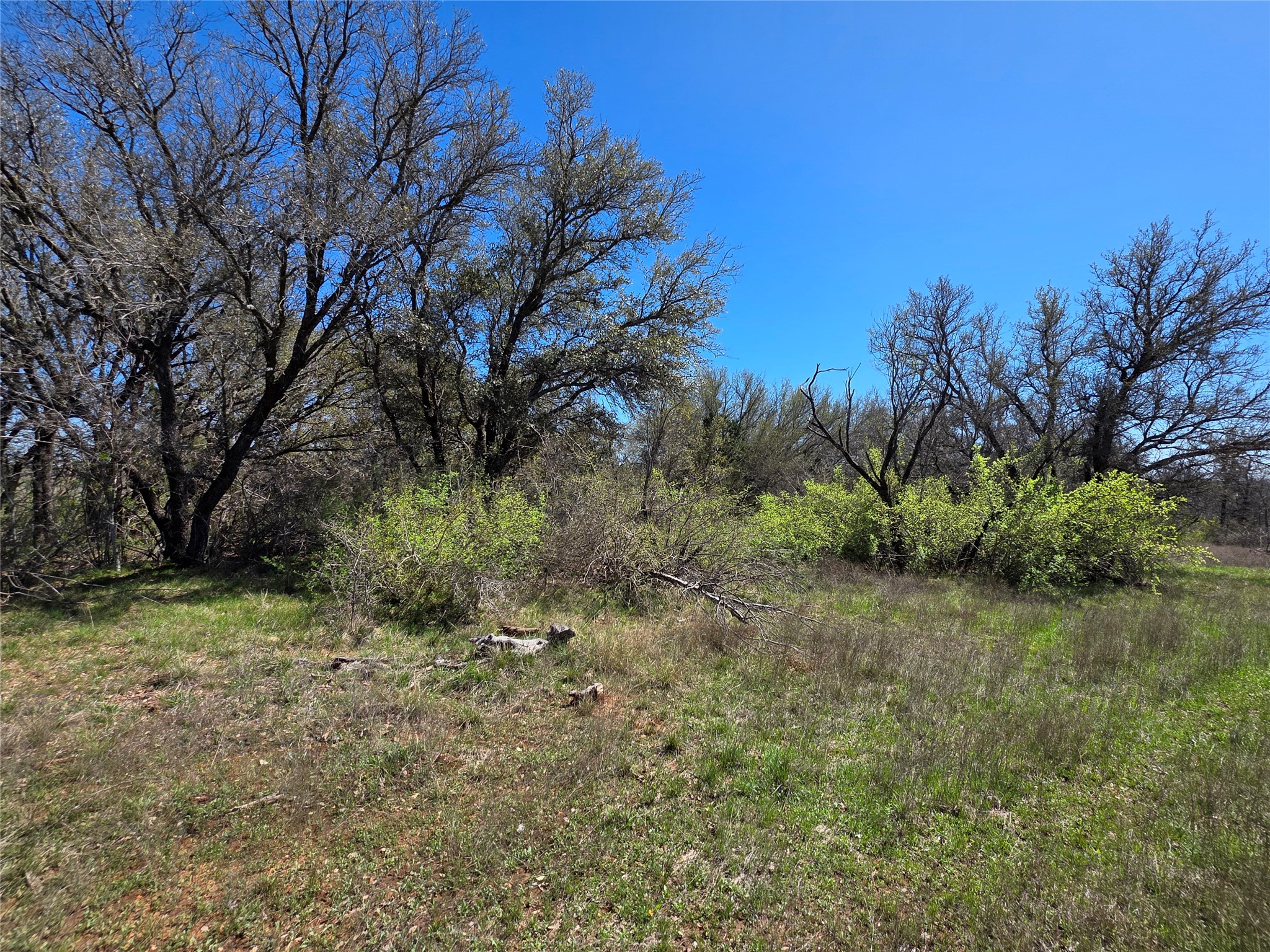 309 Highway 36 Gustine TX 76455