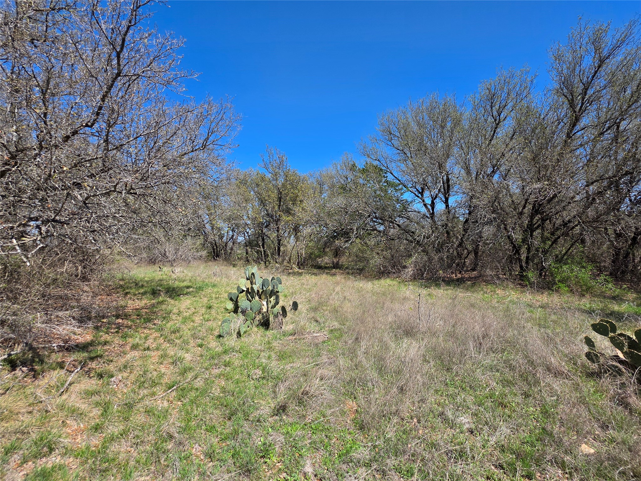 309 Highway 36 Gustine TX 76455