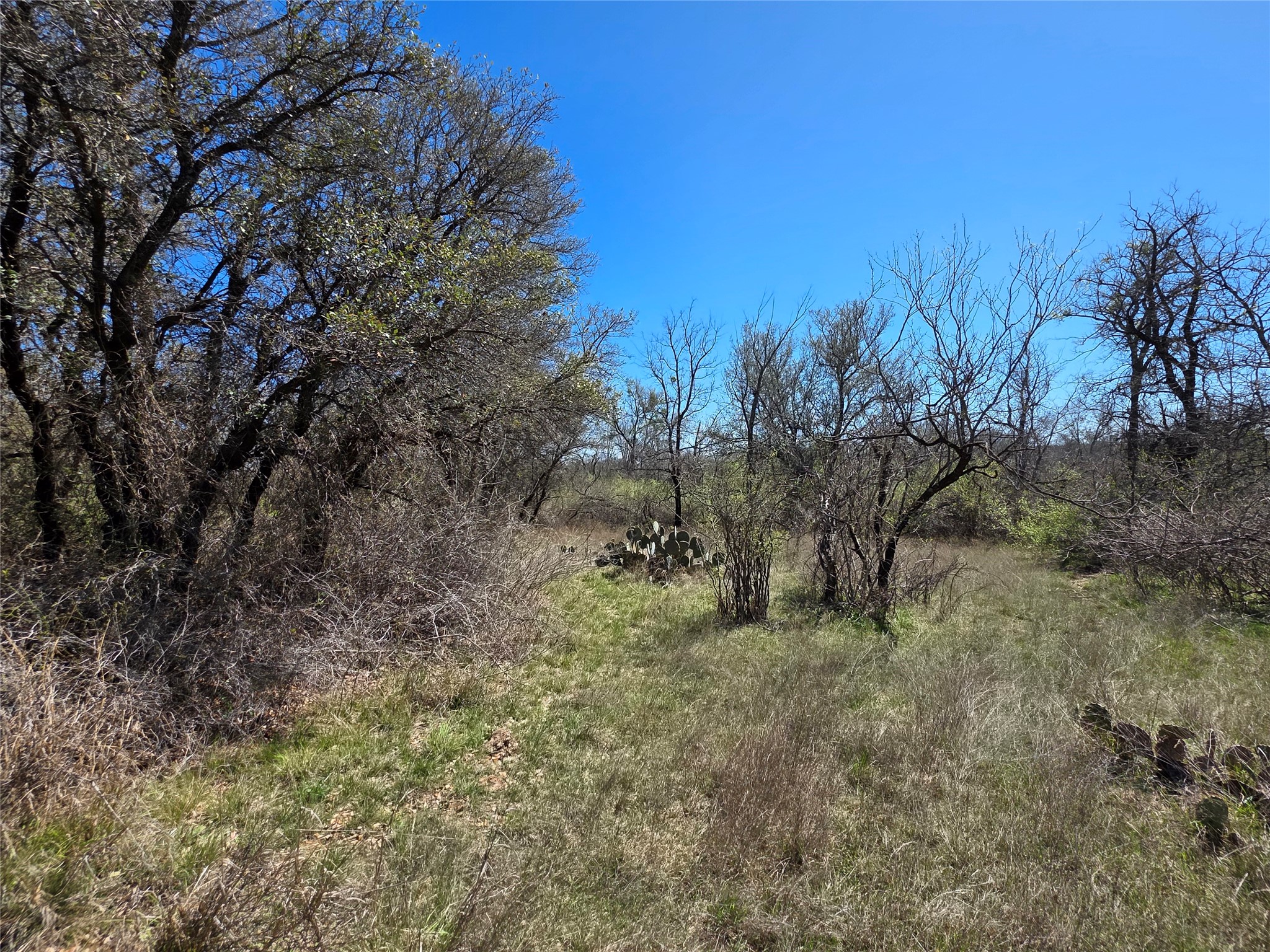 309 Highway 36 Gustine TX 76455