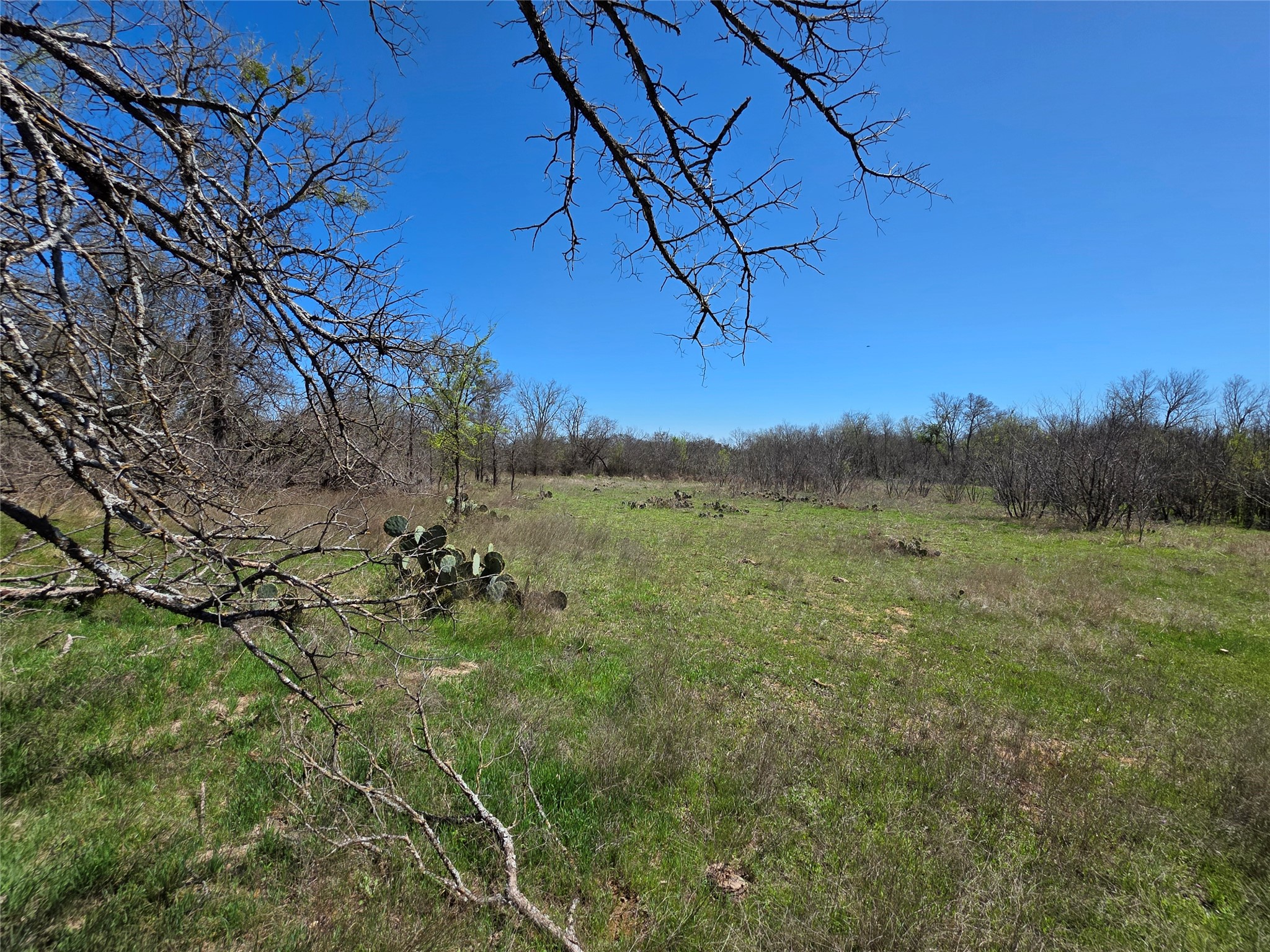 309 Highway 36 Gustine TX 76455