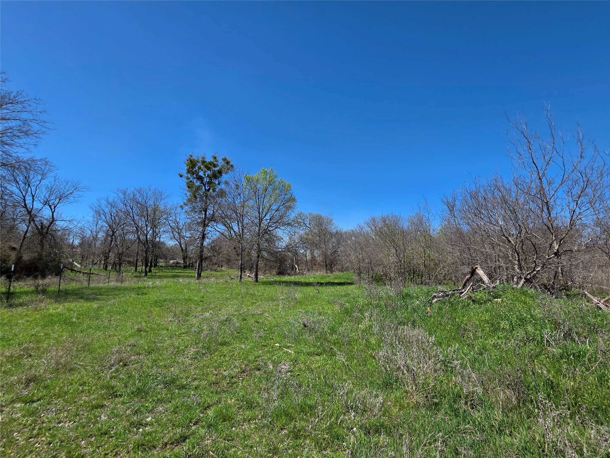309 Highway 36 Gustine TX 76455