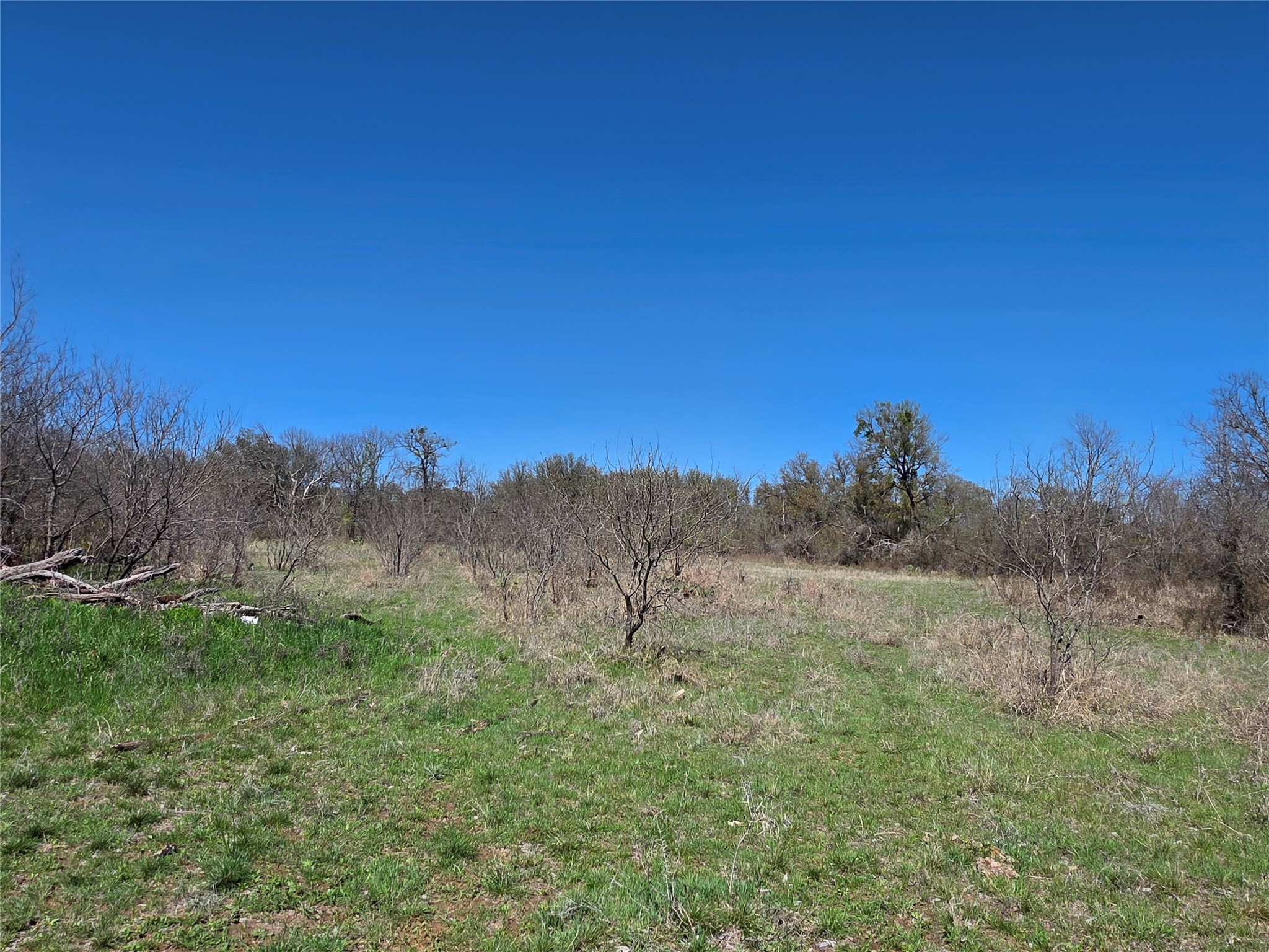 309 Highway 36 Gustine TX 76455