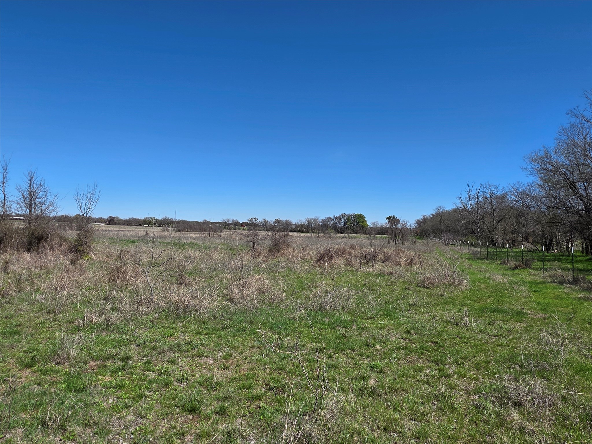 309 Highway 36 Gustine TX 76455