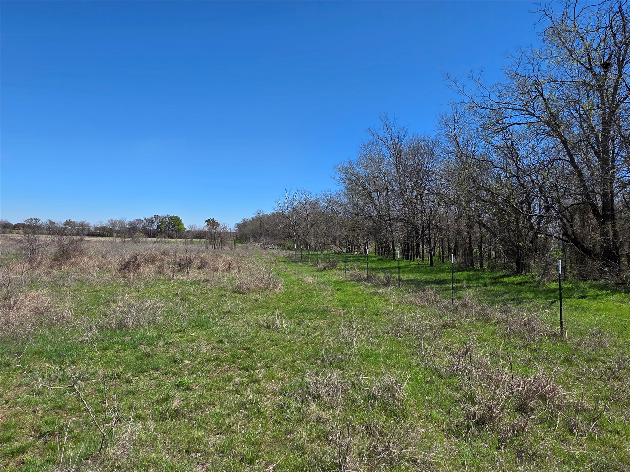 309 Highway 36 Gustine TX 76455