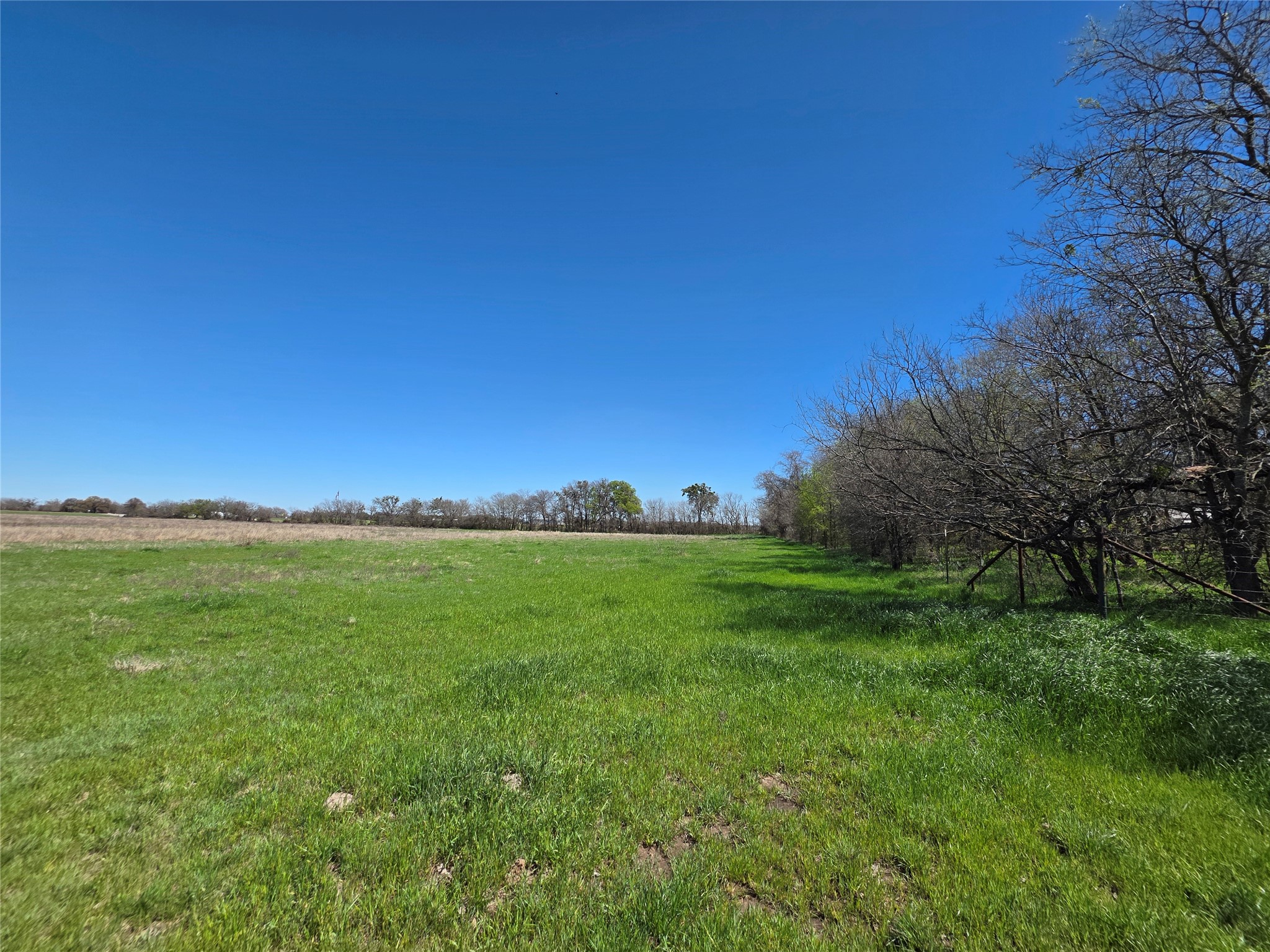 309 Highway 36 Gustine TX 76455