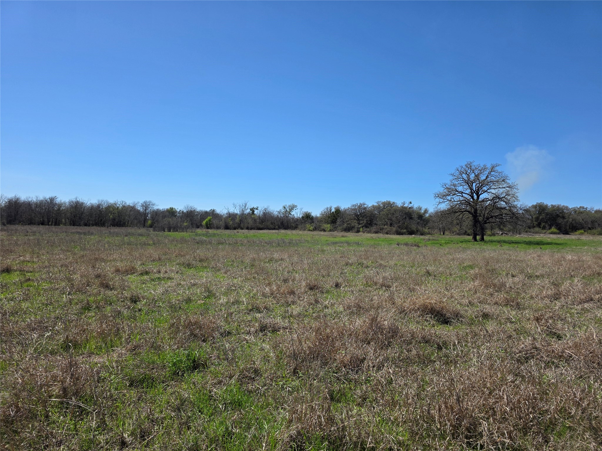 309 Highway 36 Gustine TX 76455