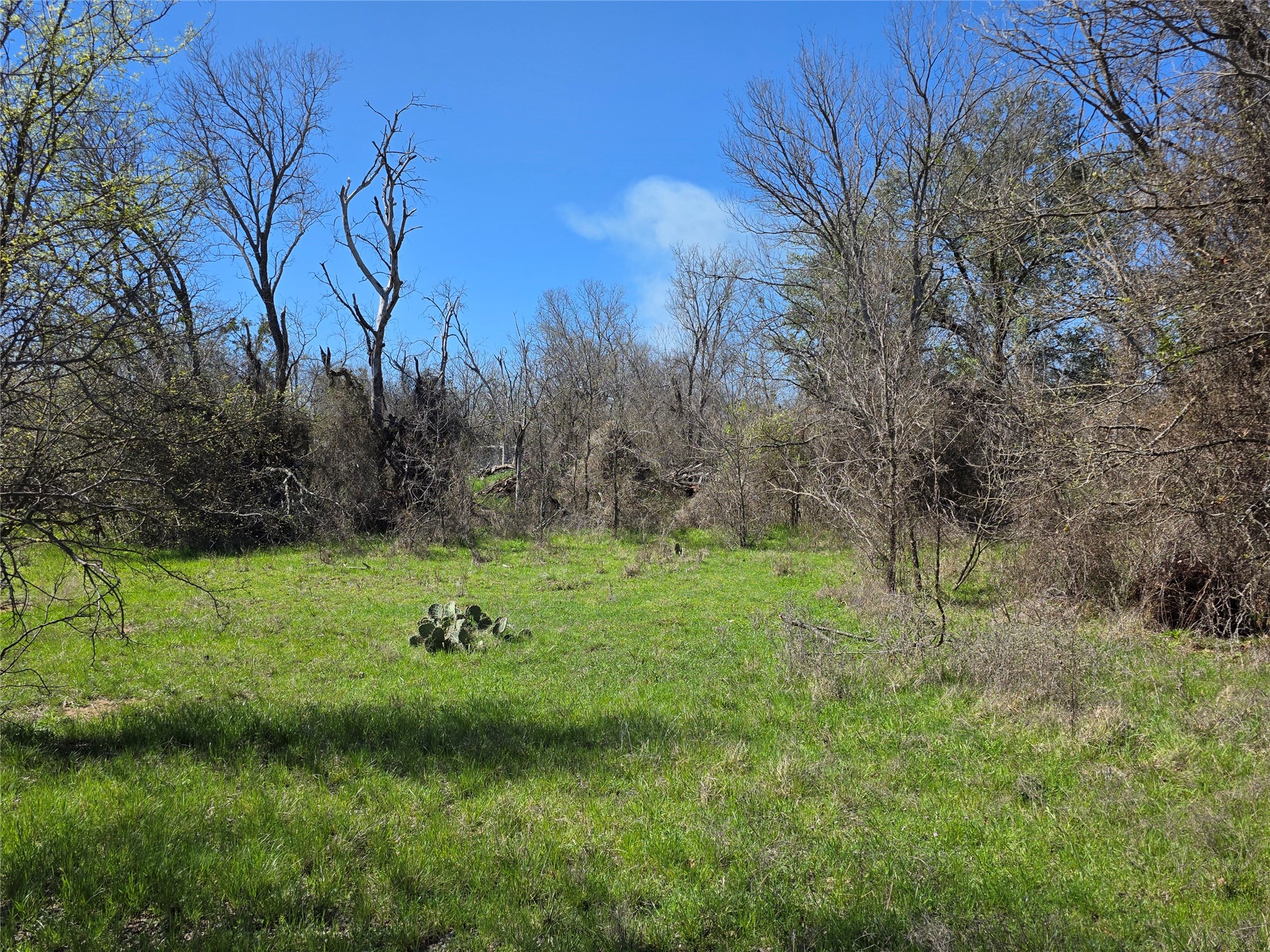 309 Highway 36 Gustine TX 76455
