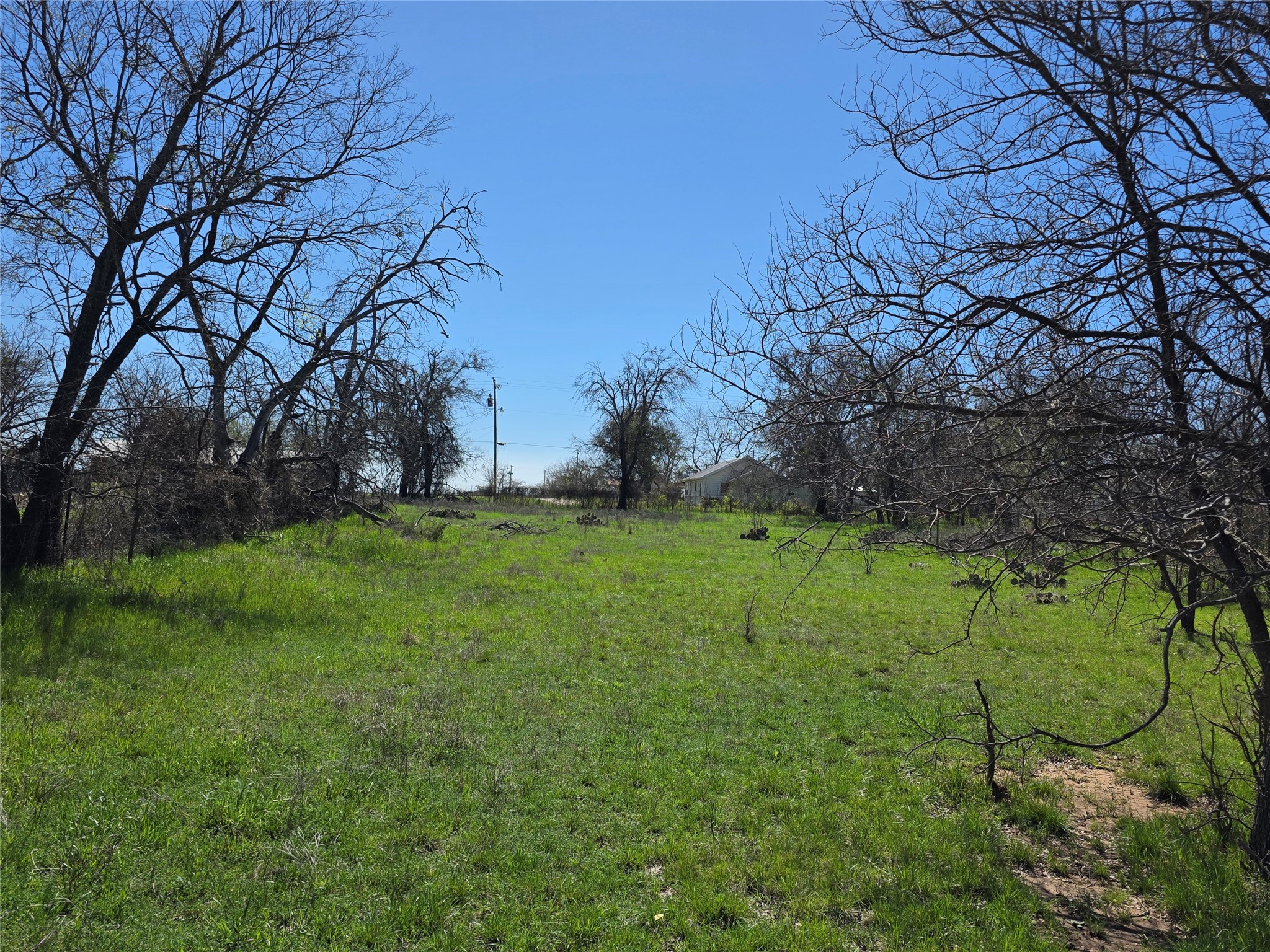 309 Highway 36 Gustine TX 76455